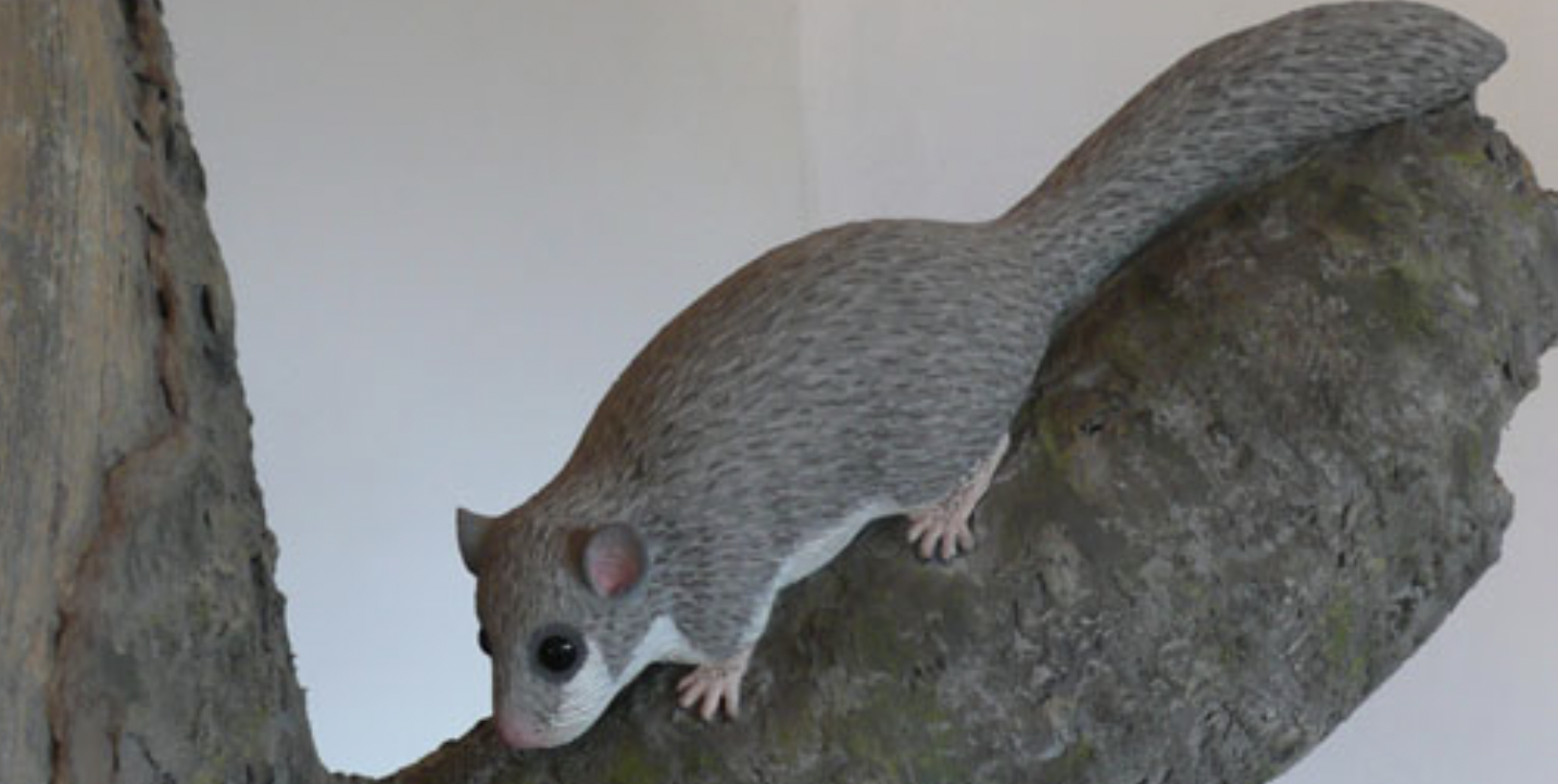 TALLER «HABITANTES DEL BOSQUE»