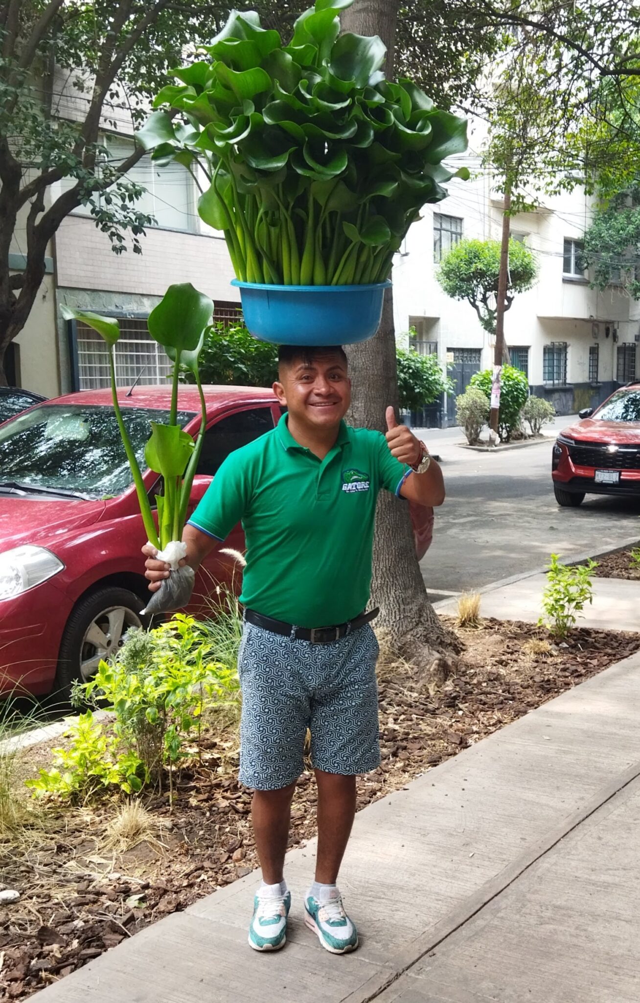 Fantásticos dispositivos de movilidad vegetal <span> – Pamplona – 2025 </span>