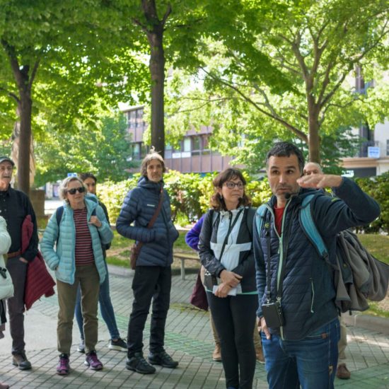 Los-arboles-de-Pamplona-aspect-ratio-1920-967